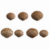 shell sizes