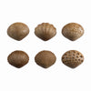 6 shell types