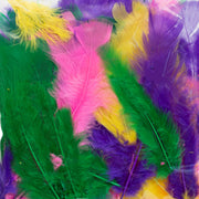 brightly coloured craft feathers