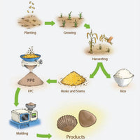 the cycle of creating products from rice