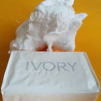 Microwaved Ivory Soap