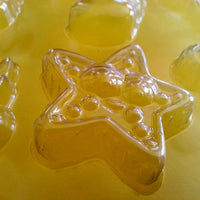 Plastic moulds featuring a star fish