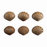 6 shell types