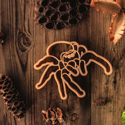 jumping spider dough cutter shown on wood with natural plants