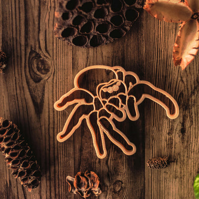 jumping spider dough cutter shown on wood with natural plants